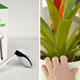 Image for article titled W-fi Sensor Gives Your Dying Plants a Voice To Plead For Help